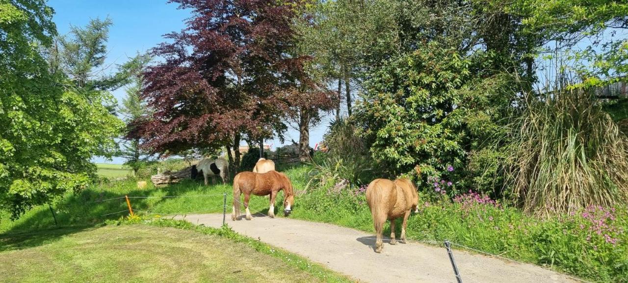 Trelawney Cottage, Sleeps Up To 4, Wifi, Fully Equipped Menheniot Eksteriør bilde